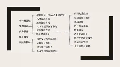 四大咨询之外 信息技术咨询服务的优势与机遇